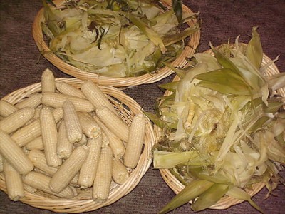 cornbasket cornbasket
