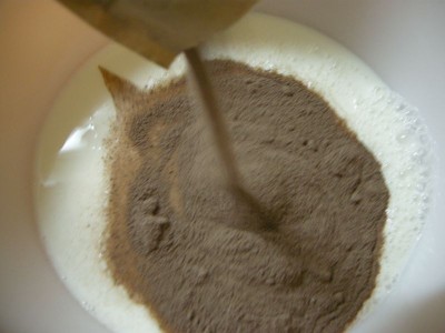 Almost No Sugar Ice Cream Grahamwiches