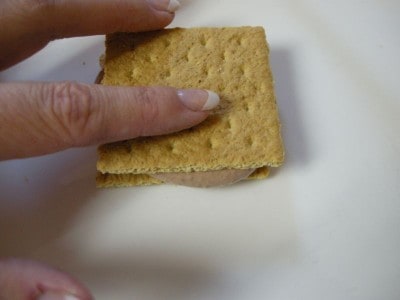 Almost No Sugar Ice Cream Grahamwiches