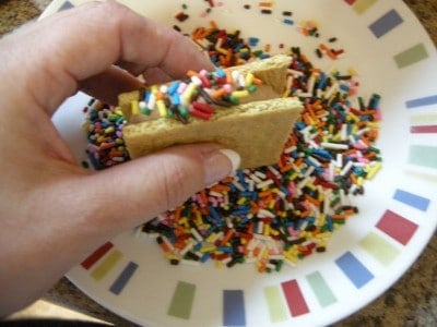 Almost No Sugar Ice Cream Grahamwiches
