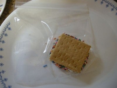 Almost No Sugar Ice Cream Grahamwiches