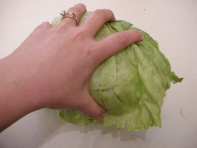 lettuce 026 lettuce 026