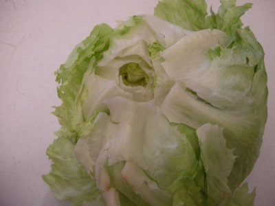 lettuce 029 lettuce 029