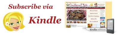 SP_Kindle-Rectangle500x150
