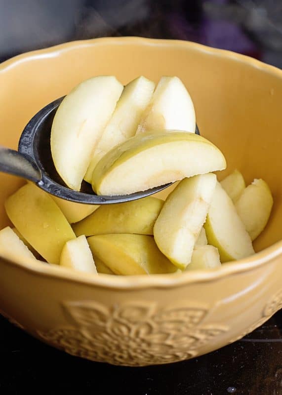 Place apple slices in large bowl.