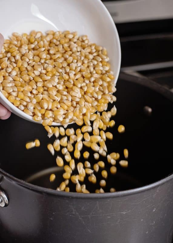 Putting popcorn kernels in saucepot.