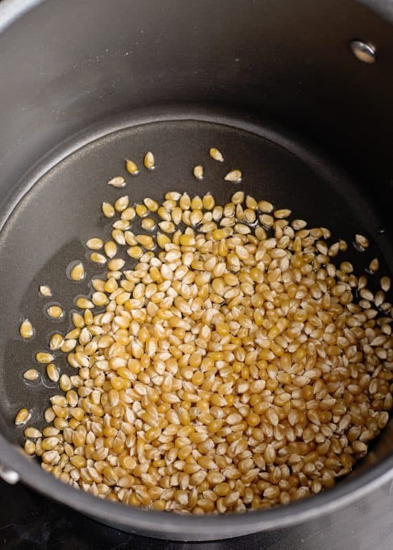 Popcorn kernels in saucepot, ready to pop!
