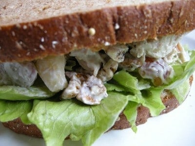 Close-up of chicken salad and greens on sandwich.