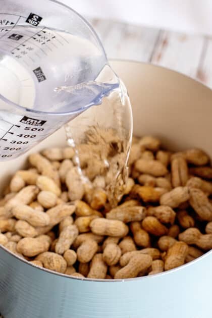 Place peanuts and enough water to cover them in large pot.