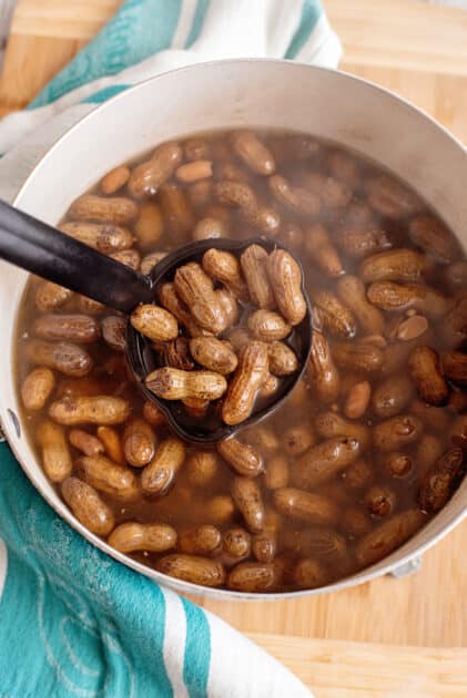 Ladle full of boiled peanuts.