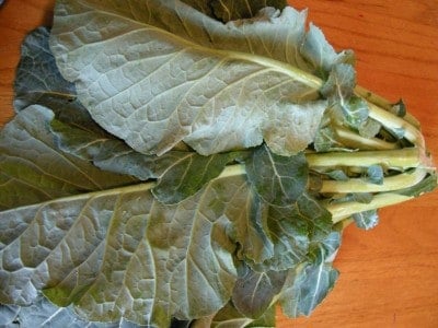 Bunch of collard greens.