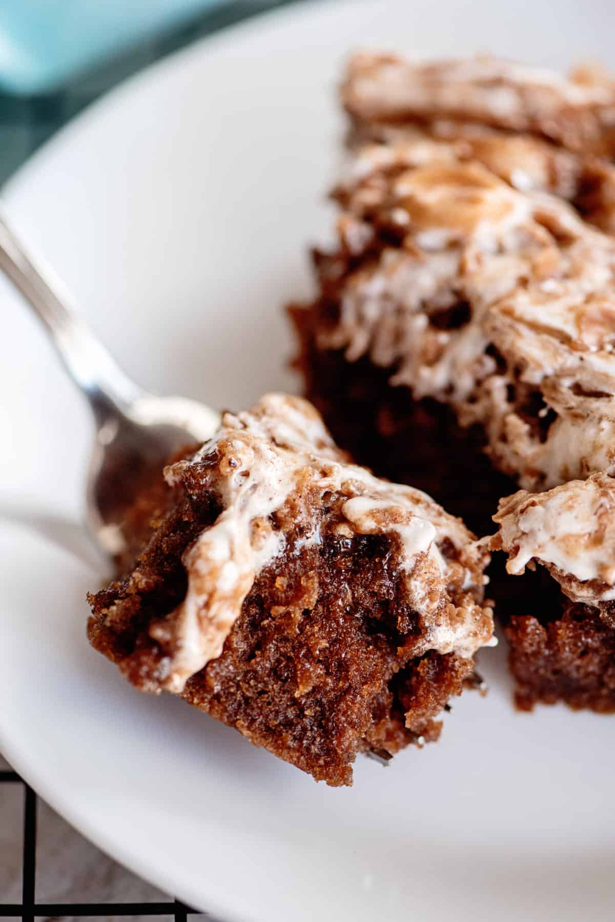 Mississippi Mud Cake