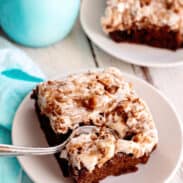 A slice of Mississippi mud cake