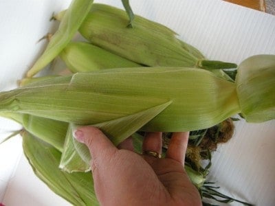 peel back the husks on the ear of corn.