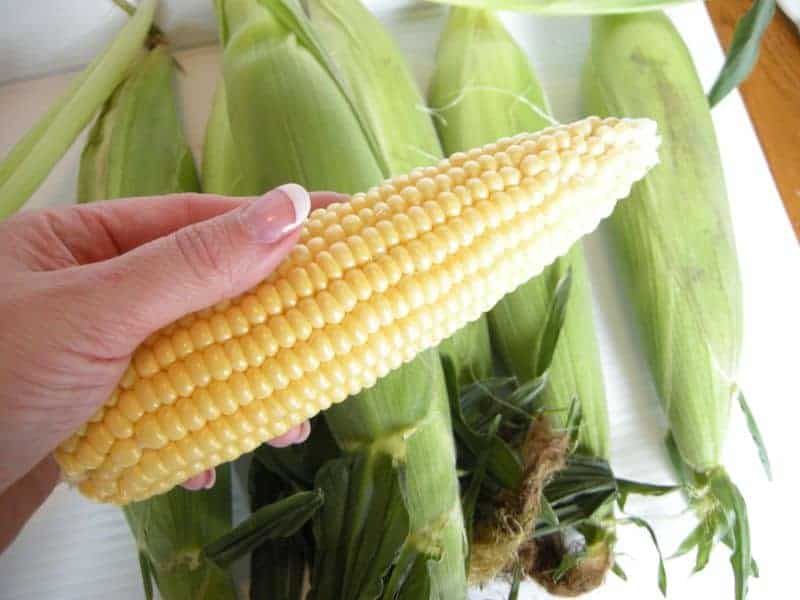 Fresh Fried Corn (Shucking, Silking, Cooking, and Freezing)