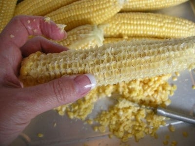 All corn removed from an ear.