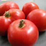 Put up tomatoes