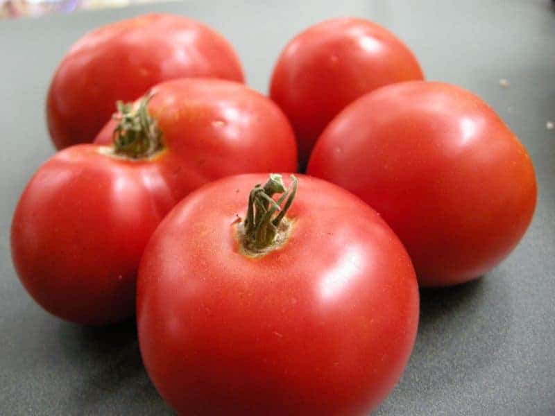 Put up tomatoes