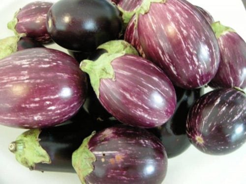 Pile of eggplants to make fried eggplant recipe.