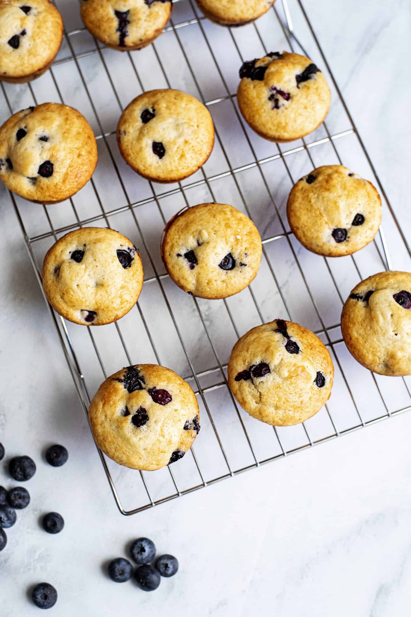 Bisquick blueberry muffins out of the oven.