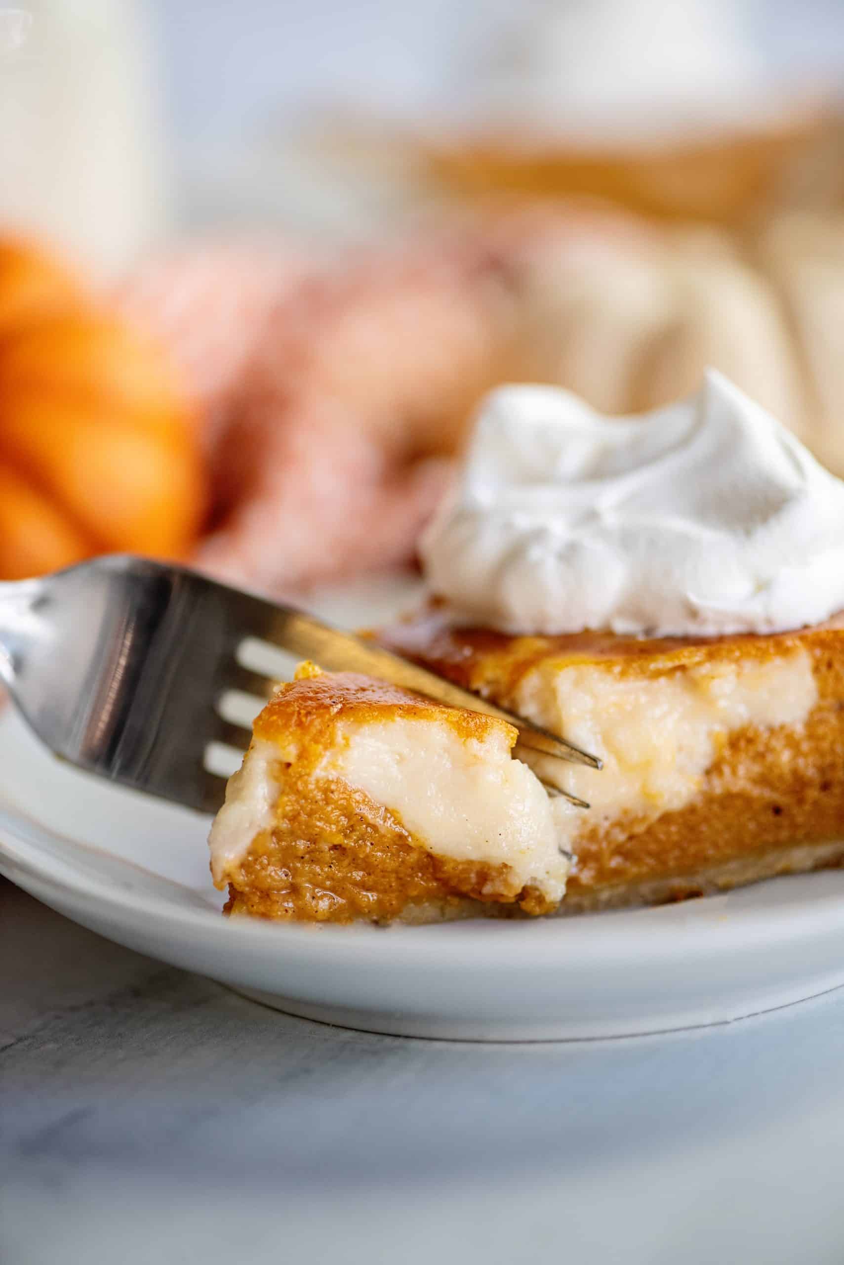 Pumpkin Cream Cheese Pie