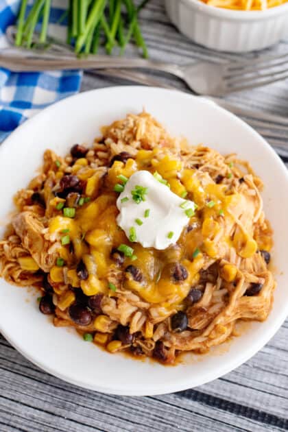 Top crockpot chicken and rice with sour cream and cheese before serving.