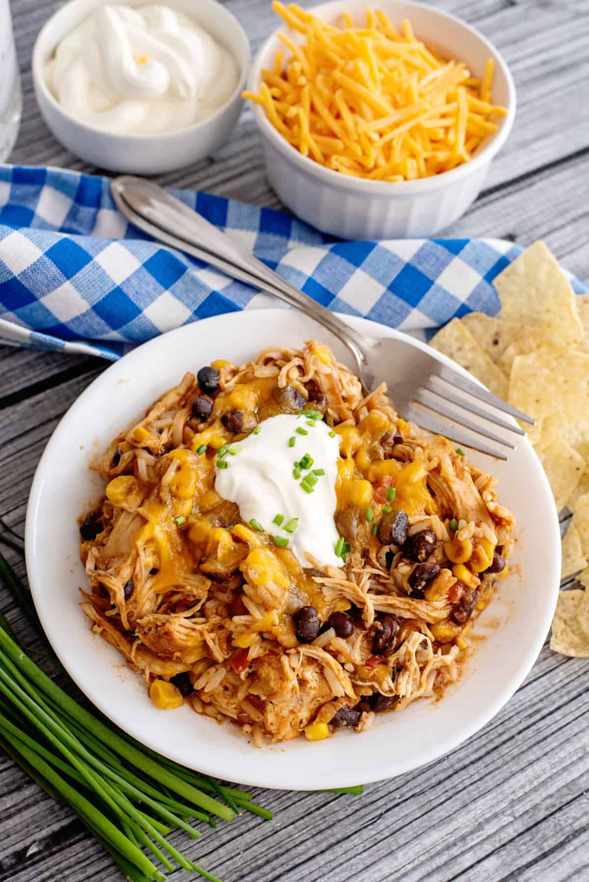 Crockpot fiesta chicken and rice.