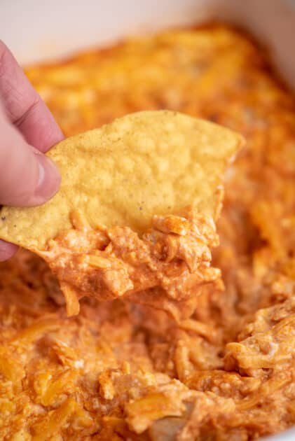 Chip covered in buffalo chicken dip.