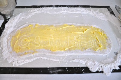 Easy Orange Rolls Spread dough with butter mixture