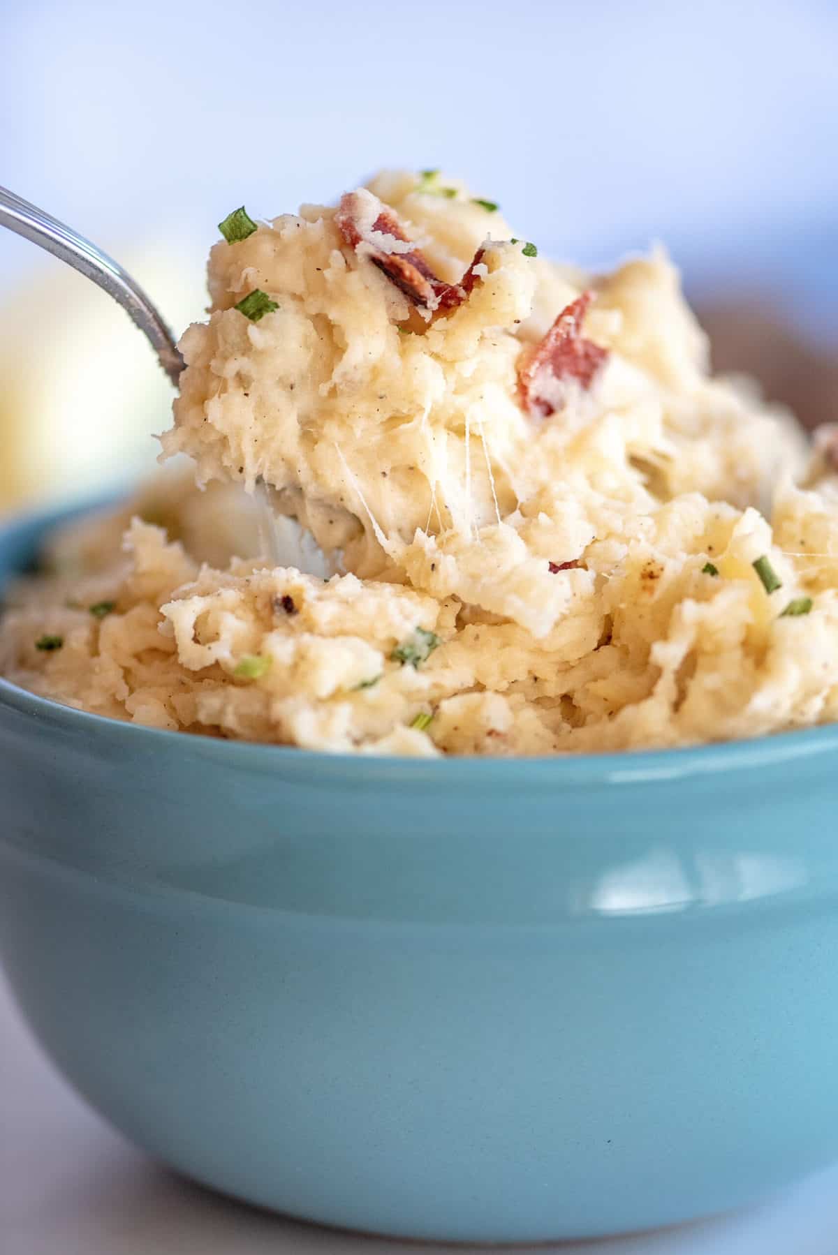 Spoonful of cheesy garlic mashed potatoes.