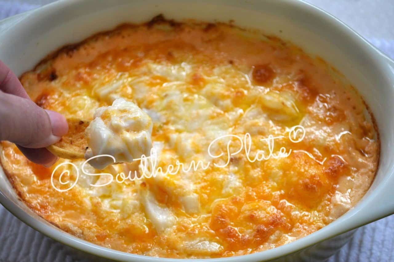 Cheesy Baked Vidalia Dip - and how to stay sane :) - Southern Plate
