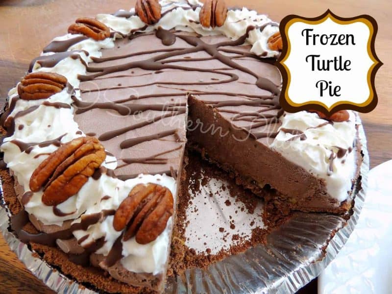 Frozen Turtle Pie