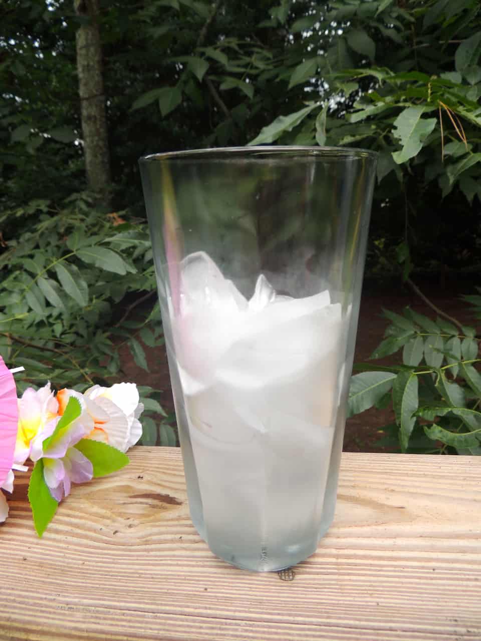 Fill glass with ice and coconut syrup.