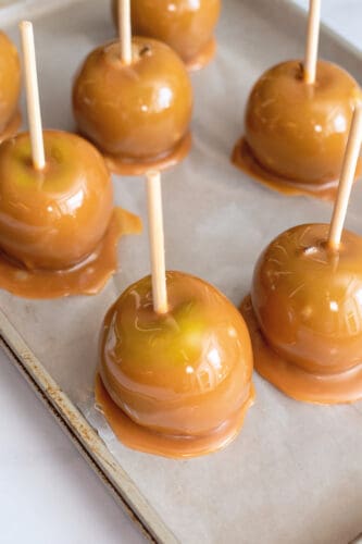 Dipped caramel apples on waxed paper.