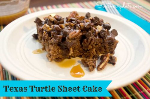 Texas Turtle Sheet Cake