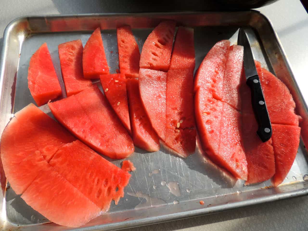 Dried Watermelon Jerky and Why we need Sacred Things Southern Plate