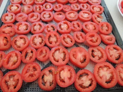 Arrange tomato slices on a dehydrator tray.