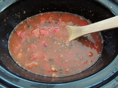 Stir ingredients together and then slow cook.