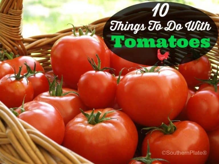 10 Things to do with Tomatoes
