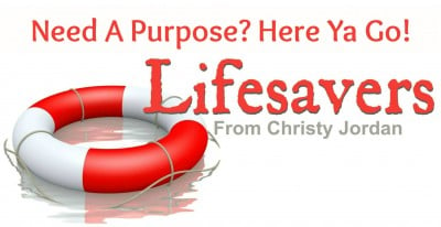 Need a Purpose? Here Ya Go!