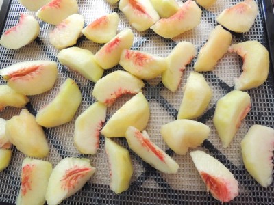 Dehydrating Peaches (and recipes!)
