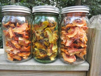 Dehydrating Peaches (and recipes!)