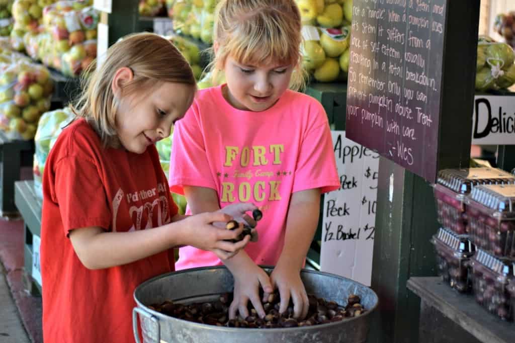Visit An Apple Orchard This Weekend!