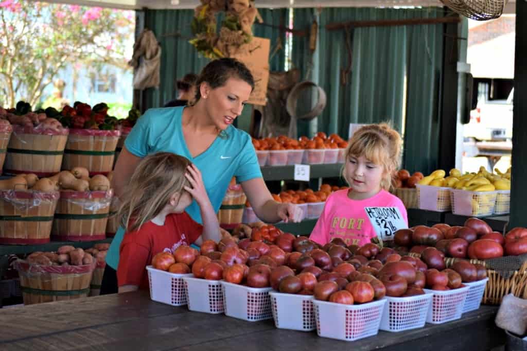 Visit An Apple Orchard This Weekend!