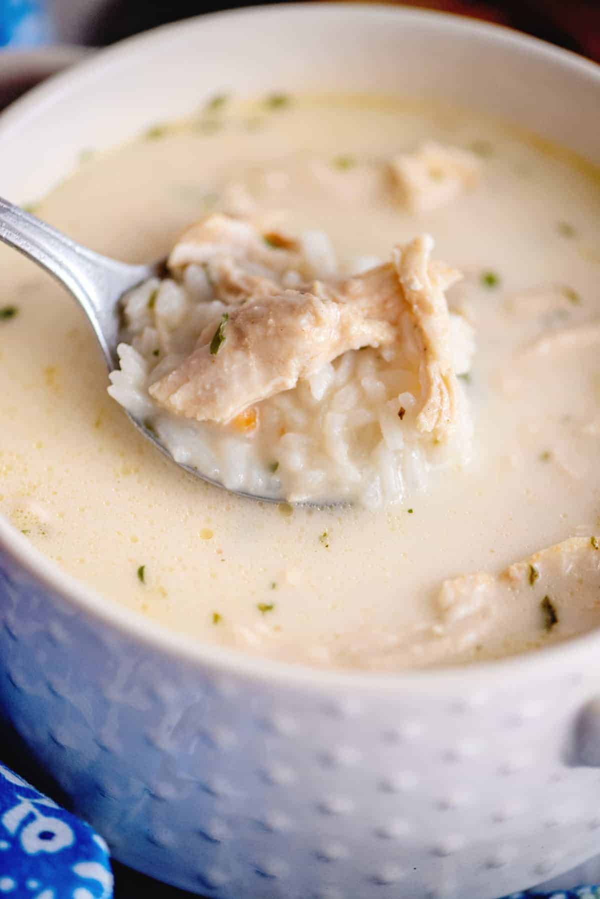 chicken and rice soup