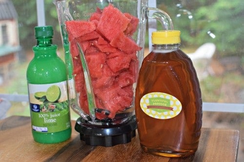ingredients for watermelonade.