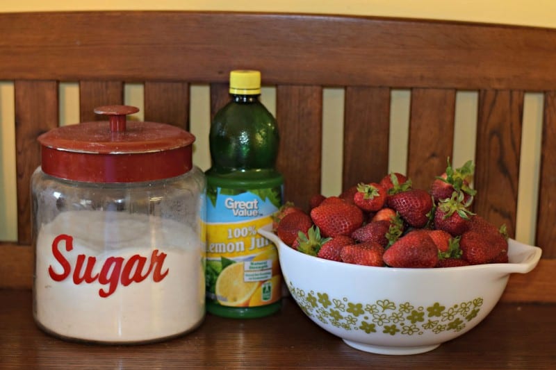 Strawberry Lemonade Concentrate - can it now to enjoy later! This stuff is AMAZING and hardly anyone things about canning their own juice! 