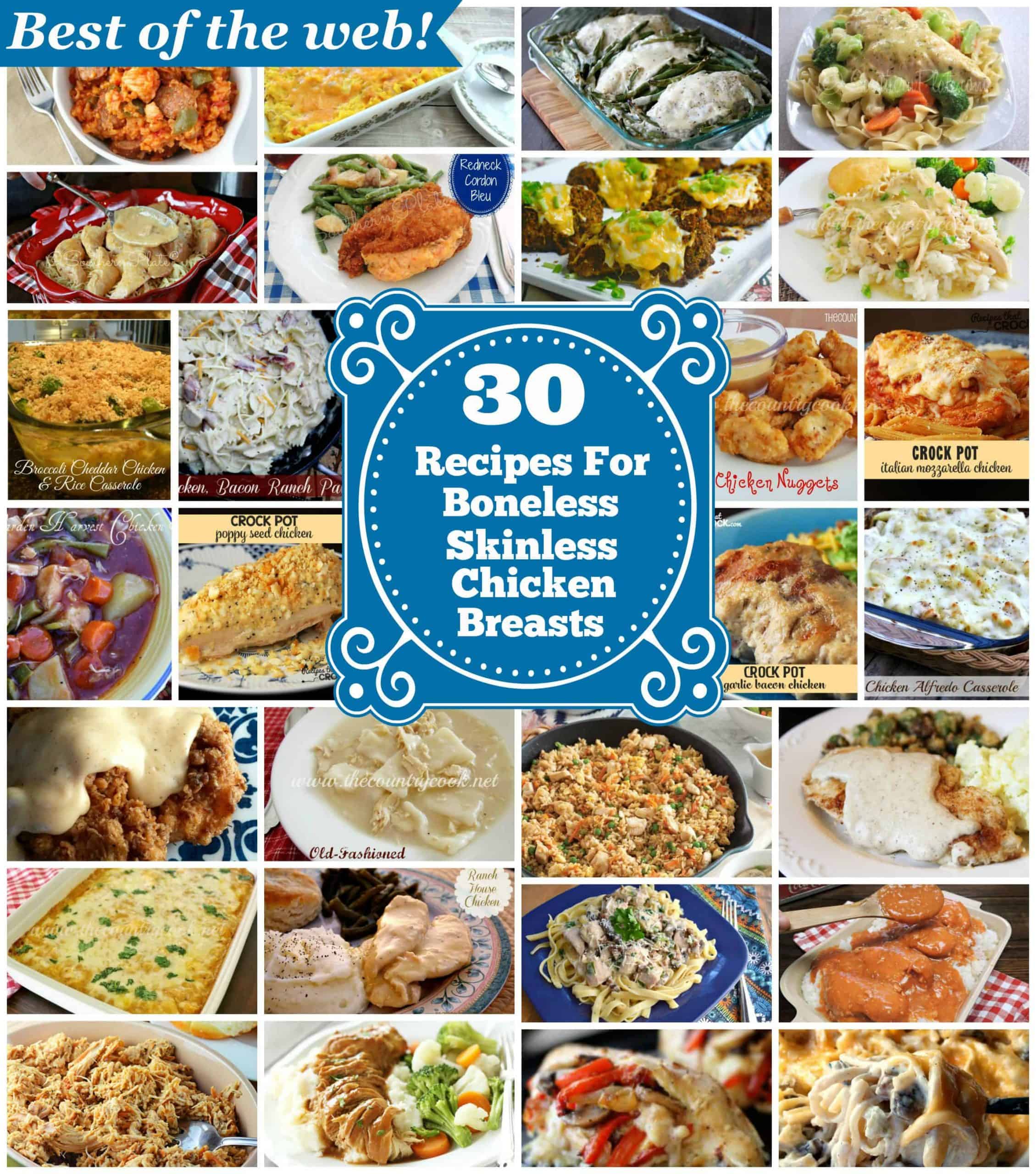 30 Recipes for Boneless Skinless Chicken Breasts *BEST OF THE WEB!*