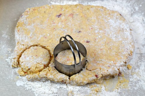 Cut biscuits out of dough with biscuit cutter.