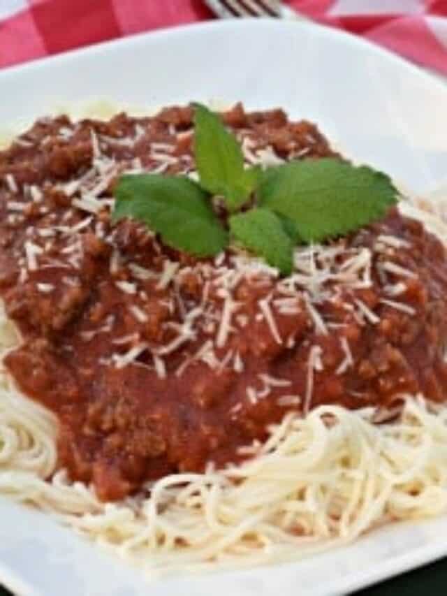 Shirataki Noodles With Spaghetti Sauce